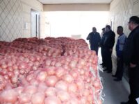 Ички истеъмол бозори учун асосий турдаги қишлоқ хўжалиги маҳсулотлари захира қилинмоқда