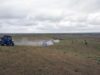 Чигирткалар ҳужуми хавфига қарши чоралар мунтазам олиб борилмоқда