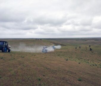 Чигирткалар ҳужуми хавфига қарши чоралар мунтазам олиб борилмоқда