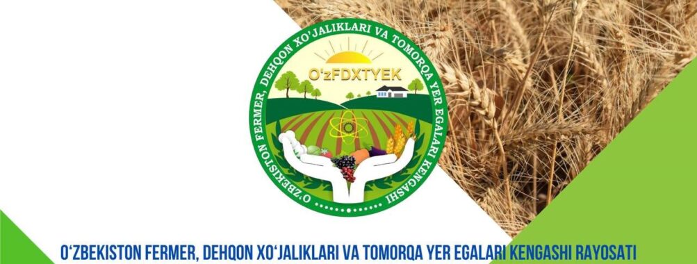 G‘ALLA URUG‘INI TEZROQ YERGA QADAB,2025 YILDA G‘ALLADAN YANADA MO‘L HOSIL OLAYLIK