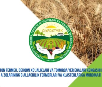 G‘ALLA URUG‘INI TEZROQ YERGA QADAB,2025 YILDA G‘ALLADAN YANADA MO‘L HOSIL OLAYLIK