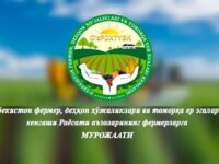 SUVNI ASRANG, TEJANG VA YUQORI DAROMADGA EGA BO‘LING